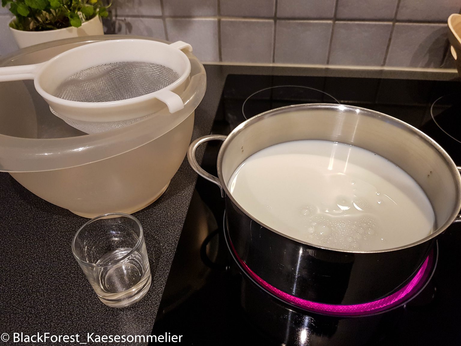 Käse selber machen ohne Lab Das Käseportal